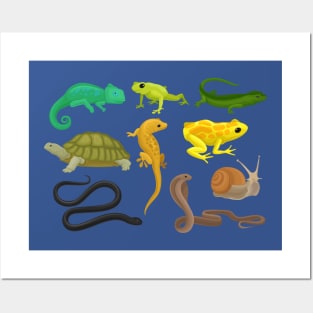 Reptile Amphibian Collection Posters and Art